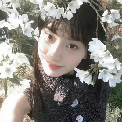 暴蜂尼亚